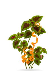 Similar image 950609