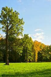 Similar image 950648