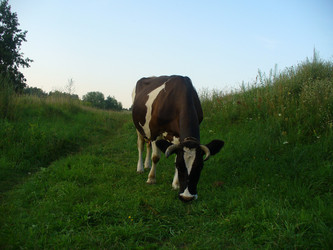 Similar image 950809