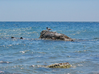 Similar image 950811