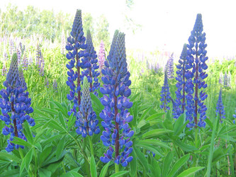 Similar image 950813