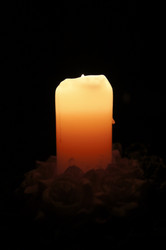 Similar image 950817