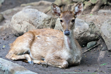 Similar image 950824