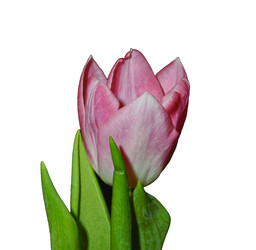 Similar image 950847