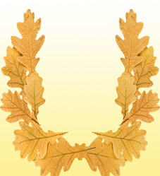 Similar image 951124