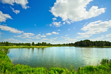 Similar image 951141