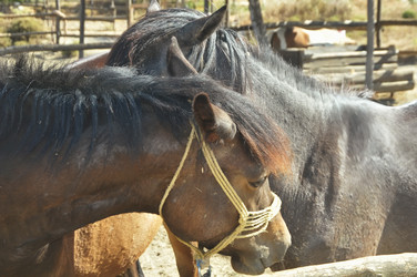 Similar image 951155