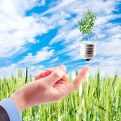 Similar image 951264