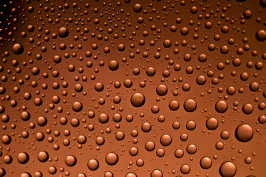 Similar image 951270