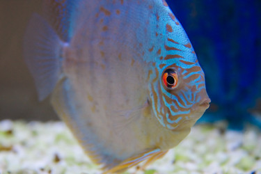 Similar image 951489