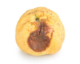 Similar image 951493