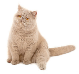 Similar image 951512