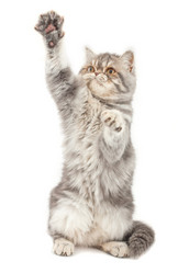 Similar image 951514