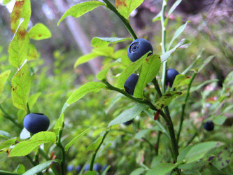 Similar image 951526