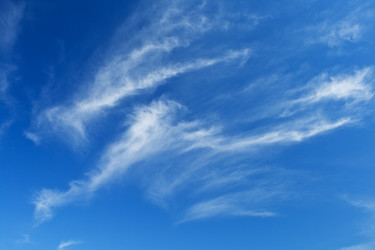 Similar image 951696