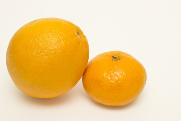 Similar image 951702