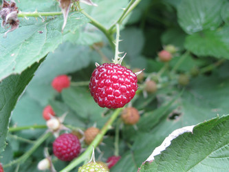 Similar image 951707