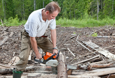 Similar image 951755