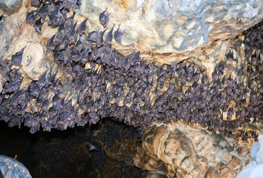 Similar image 951806