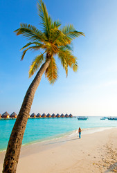 Similar image 951811