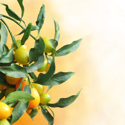 Similar image 951814