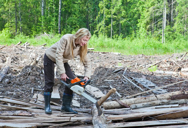 Similar image 951816