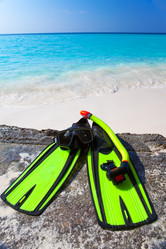 Similar image 951829