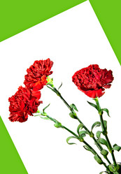 Similar image 951842