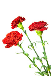 Similar image 951843