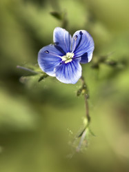 Similar image 951858