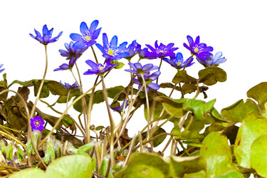 Similar image 951880