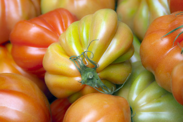 Similar image 951882