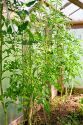 Similar image 951886