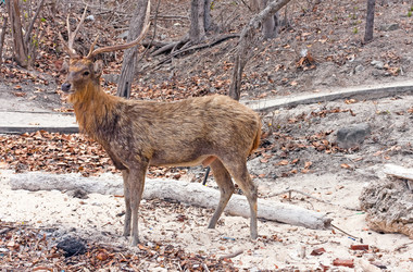 Similar image 951888