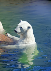 Similar image 951893