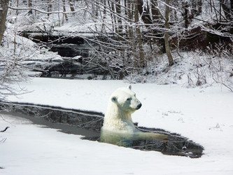 Similar image 951894