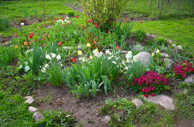 Similar image 951895