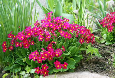 Similar image 951896