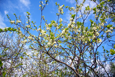 Similar image 951898