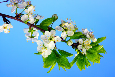 Similar image 951899