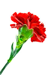 Similar image 951923