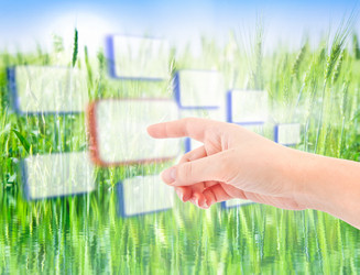 Similar image 951925