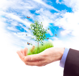 Similar image 952000