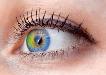 Similar image 952002