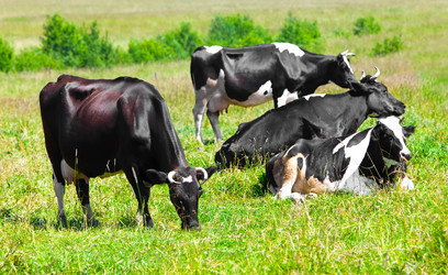 Similar image 952011