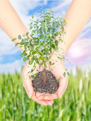 Similar image 952017