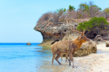 Similar image 952051