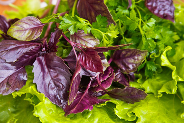 Similar image 952055