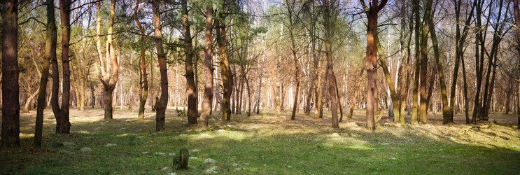 Similar image 952092