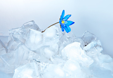 Similar image 952100